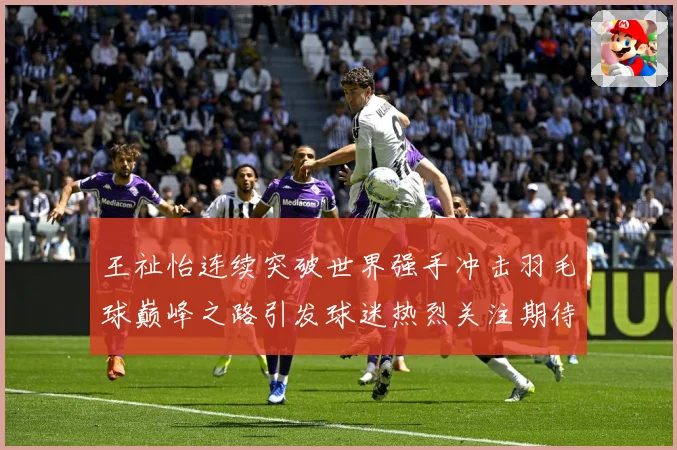 王祉怡连续突破世界强手冲击羽毛球巅峰之路引发球迷热烈关注期待-深度解析