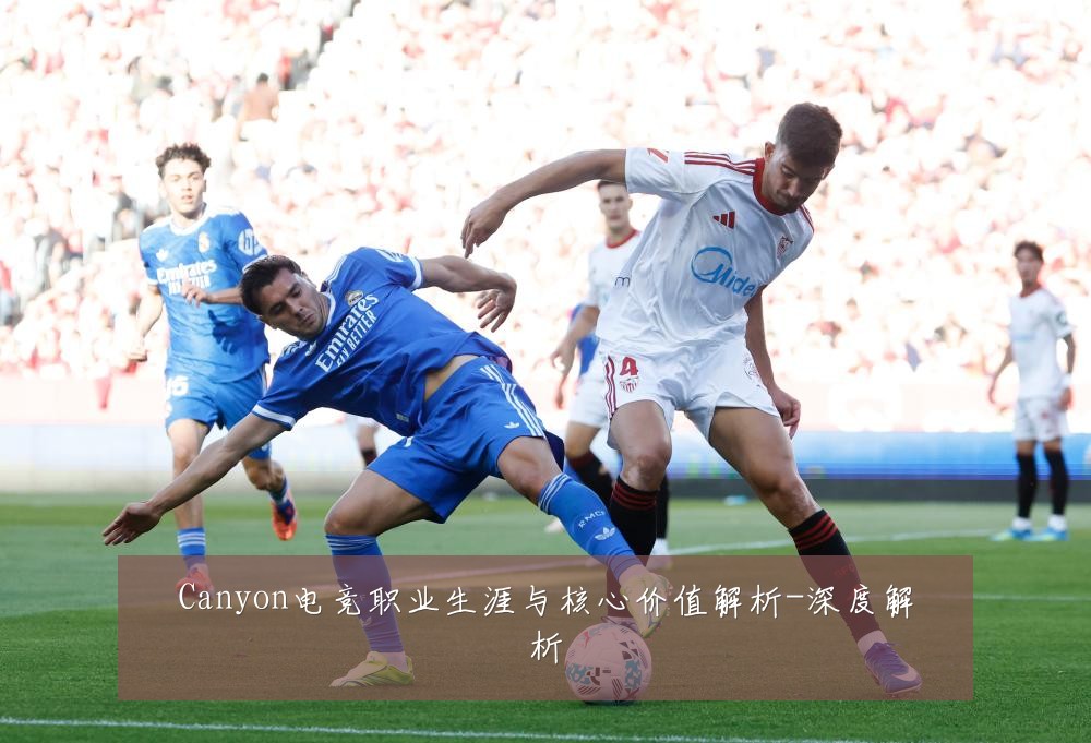 Canyon电竞职业生涯与核心价值解析-深度解析